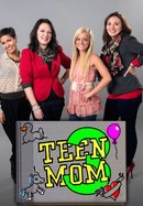 Teen Mom 3 poster image
