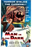 Man in the Dark poster image