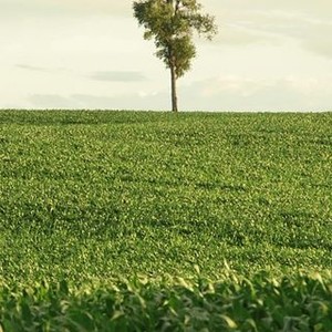 In Pursuit of Silence (2015)