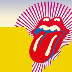 The Rolling Stones Olé, Olé, Olé!: A Trip Across Latin America photo 5