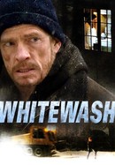 Whitewash poster image
