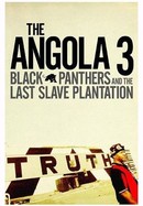 Angola 3: Black Panthers and the Last Slave Plantation poster image