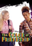The Color of Friendship poster image