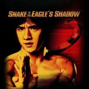 Snake in the Eagle's Shadow photo 15