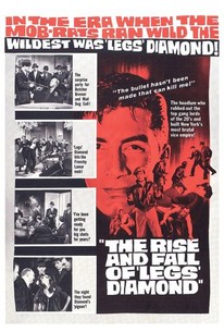 Poster for The Rise and Fall of Legs Diamond