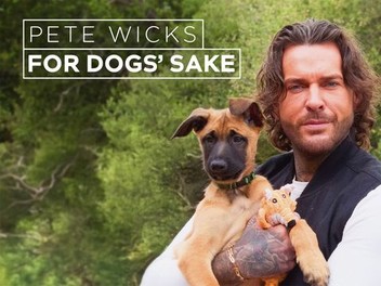 Pete Wicks: For Dogs' Sake: Season 3 | Rotten Tomatoes