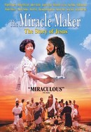 The Miracle Maker poster image