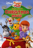 My Friends Tigger and Pooh Super Sleuth Christmas Movie: 100 Acre Wood Downhill Challenge poster image