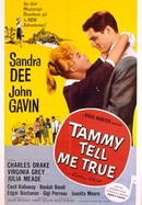 Tammy Tell Me True poster image