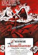 The Sharkfighters poster image