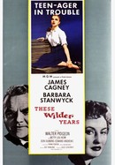 These Wilder Years poster image