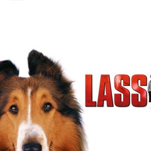 Lassie (1994 Movie)  ChucksConnection Film Review