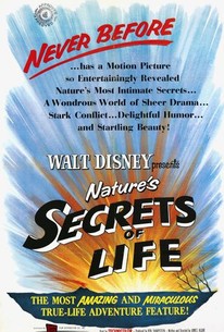 Watch trailer for The Secrets of Life