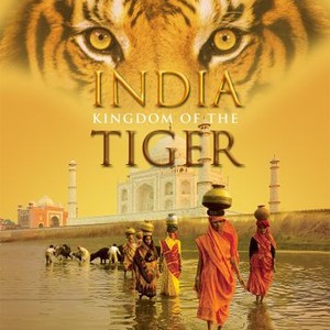 India: Kingdom of the Tiger photo 8
