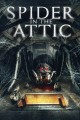 Spider in the Attic