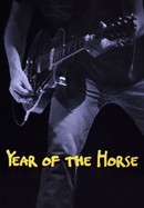 Year of the Horse poster image