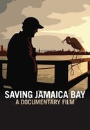Saving Jamaica Bay poster image