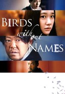 Birds Without Names poster image