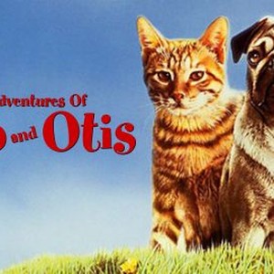 The Adventures of Milo and Otis photo 8