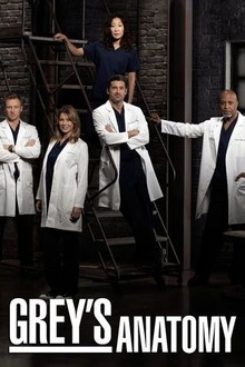 Greys anatomy season online 9 watch online