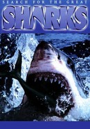 Search for the Great Sharks poster image