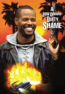 A Low Down Dirty Shame poster image