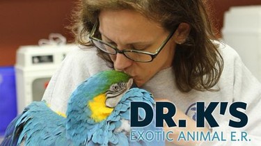 Dr. K s Exotic Animal ER Season 1 Rotten Tomatoes