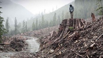 If a Tree Falls: A Story of the Earth Liberation Front