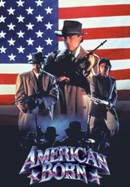 American Born poster image