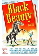 Black Beauty poster image