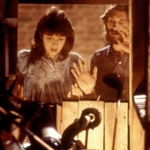 BATTERIES NOT INCLUDED, Elizbeth Pena, Dennis Boutsikaris, 1987. ©Universal