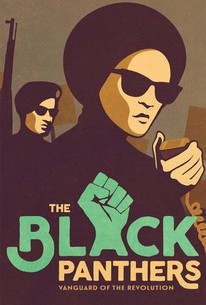 The Black Panthers: Vanguard of the Revolution poster