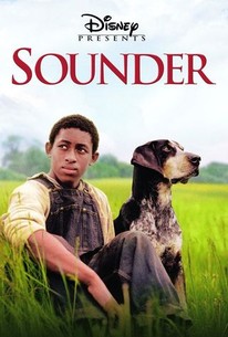 www.rottentomatoes.com