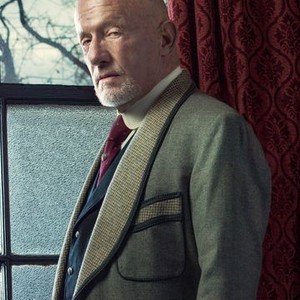 Jonathan Banks as Mr. Flowers