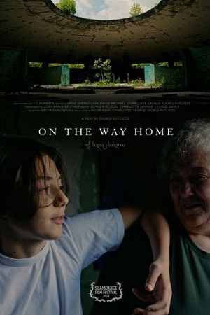 On the Way Home poster