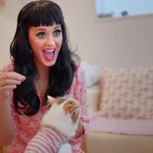 Katy Perry: Part of Me photo 16