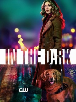 In the Dark Season 1 Rotten Tomatoes