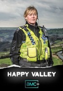 Happy Valley poster image