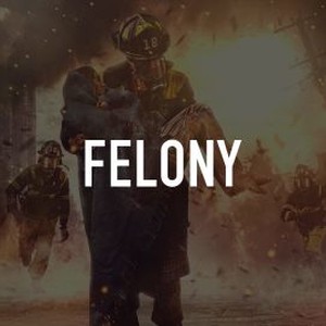 "Felony photo 8"