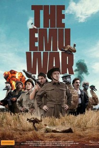 www.rottentomatoes.com