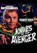 Knives of the Avenger poster image