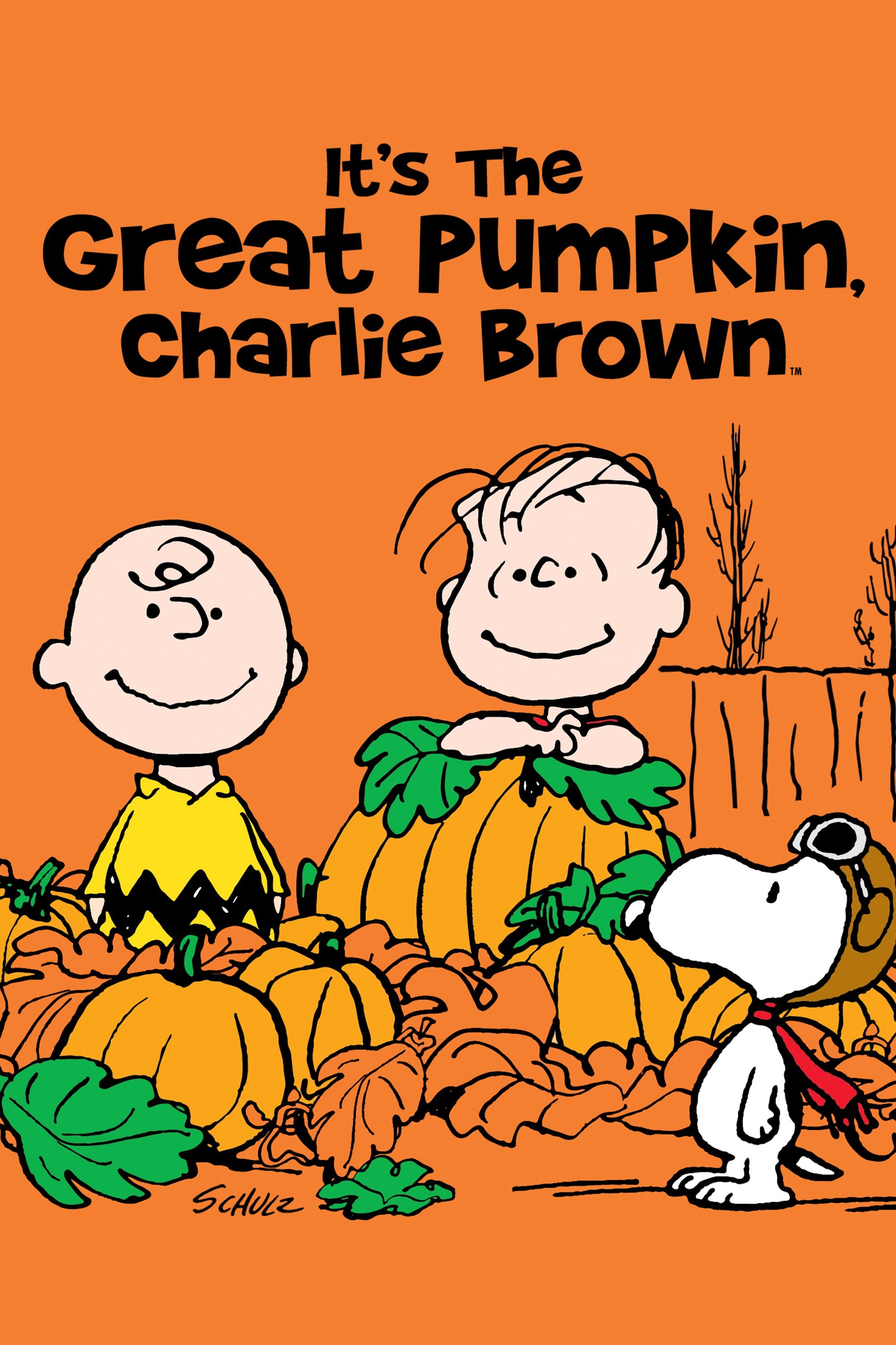 It's the Great Pumpkin, Charlie Brown Rotten Tomatoes