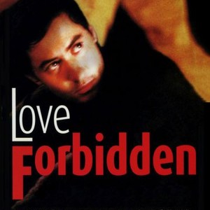 Love Forbidden (2002) photo 10