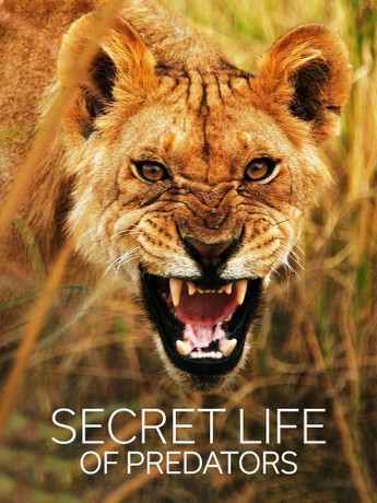 Secret Life of Predators [DVD](品)　(shin