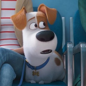 The Secret Life of Pets 2 (2019) - IMDb