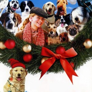The 12 Dogs of Christmas photo 5