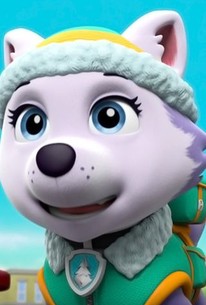 PAW Patrol: Season 3, Episode 22 - Rotten Tomatoes