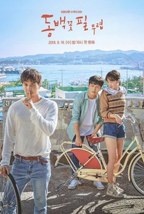 Watch trailer for When the Camellia Blooms