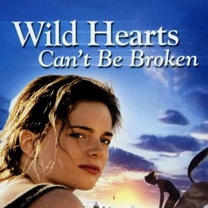 Wild Hearts Can T Be Broken 1991 Rotten Tomatoes