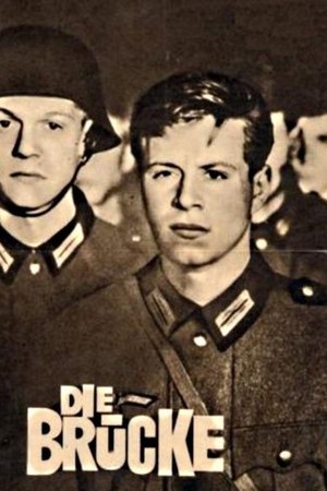 Freedom to Die poster